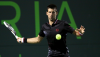 Djokovic Lands Another Final Berth at the Sony Ericsson Open